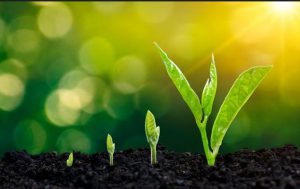 طرح توسعه دانش فردی و اجتماعی بانوان